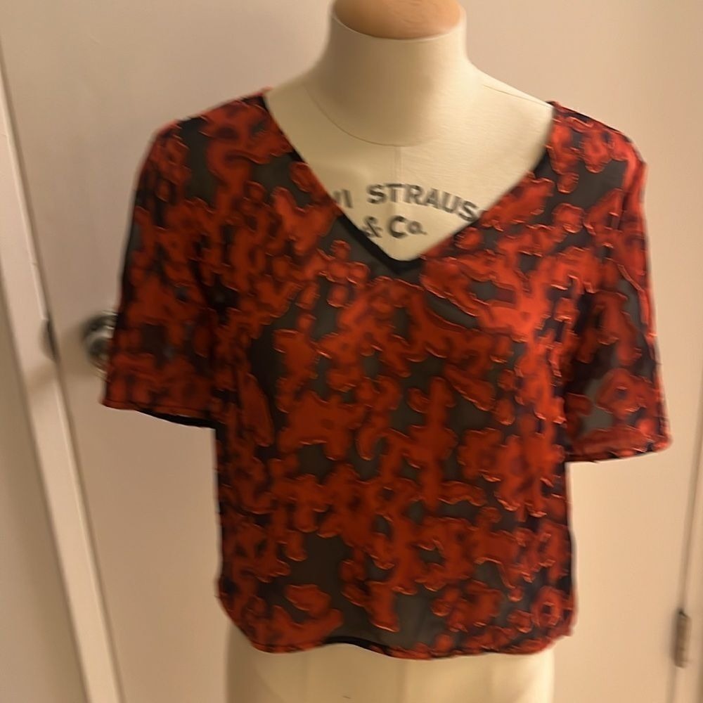 Aritzia Blouse‎ - Picture 6 of 8